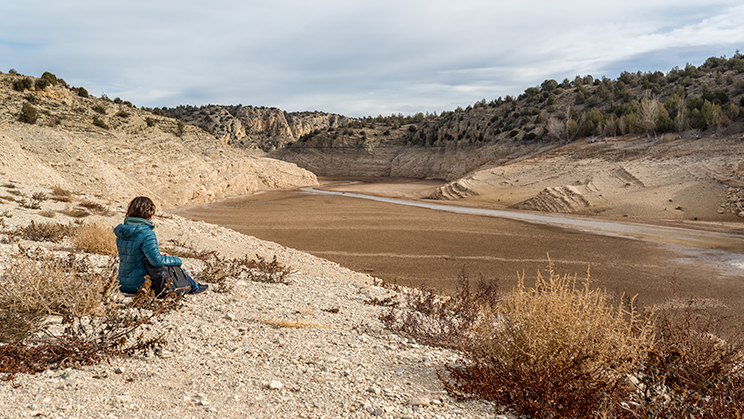 Desertificació: ha arribat l’hora de mirar al sòl